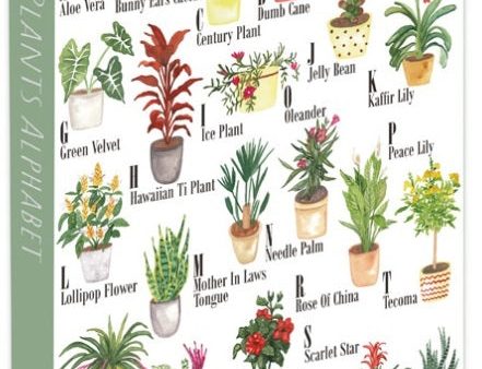 Jigsaw 1000 Piece Rectangular - House Plants Alphabet Fashion