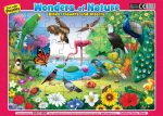 Fun With Puzzles: Wonders Of Nature ( Birds, Flowers And Insects) Supply