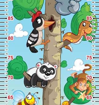 Height Chart Animals Online