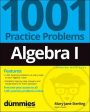 Algebra I: 1001 Practice Problems For Dummies (+ Free Online Practice) Online Sale