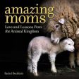 Amazing Moms : Love and Lessons From the Animal Kingdom For Cheap